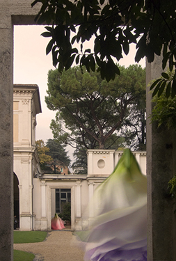 Rome 1